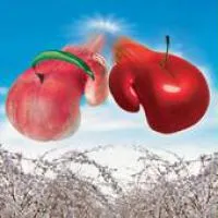 Фунгицид Сигнум