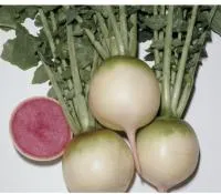 Редька РЕД МИТ F1 (250 грамм) Takii Seeds