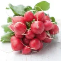 Редис РОНДЕЕЛ (50 грамм) (NS) Rijk Zwaan