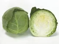 Капуста белокочанная ОРТУС F1 (1000 семян) Takii Seeds