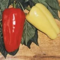 Перец сладкий ДЖИПСИ F1 (500 семян) Seminis