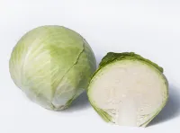 Капуста белокочанная СТОРКА F1 (2500 семян) Takii Seeds