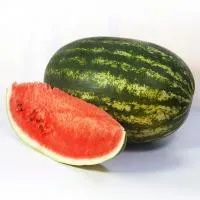 Арбуз KS 163 F1 (500 семян) Kitano Seeds