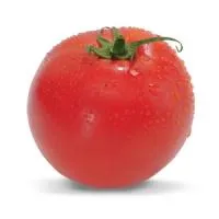 Томат ТАЙЛЕР F1 (1000 семян) Kitano Seeds