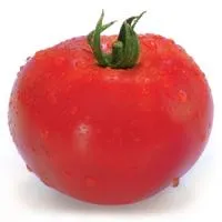 Томат ХИТОМАКС F1 (1000 семян) Kitano Seeds