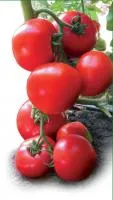 Томат ЯДВИГА F1 (1000 семян) Kitano Seeds