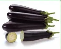 Баклажан САМУРАЙ F1 (1000 семян) Kitano Seeds